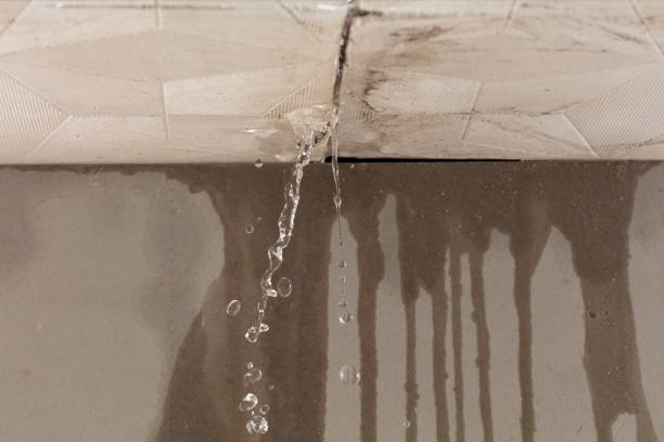 Professional Burst Pipe Cleanup technician working in Broomfield, CO